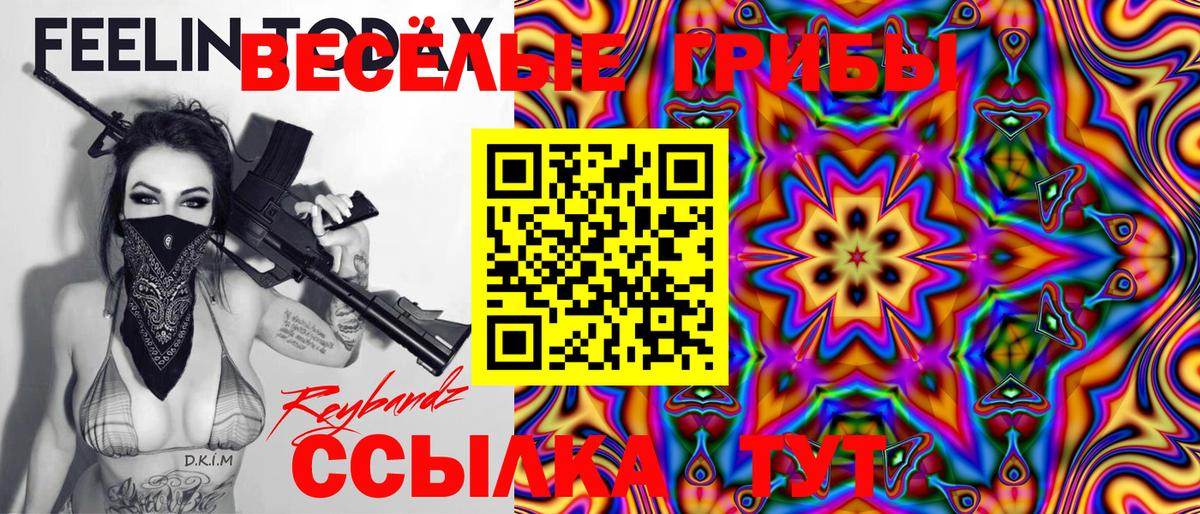 Псилоцибиновые грибы Psilocybine cubensis Таганрог